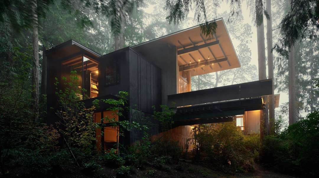 Laura Austin | Video Jim Olson In Residence